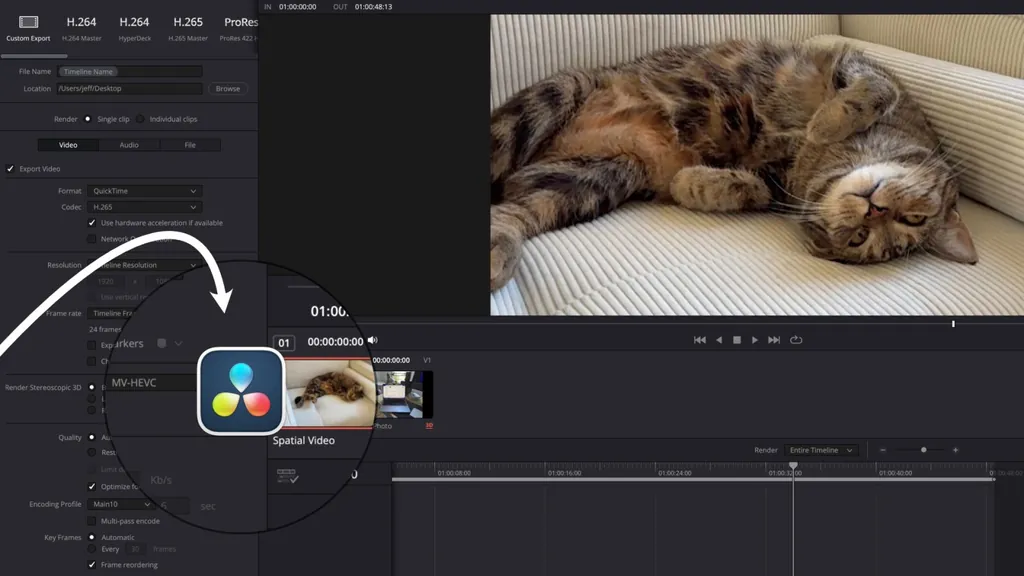 DaVinci Resolve 19.1 空間ビデオのサポート